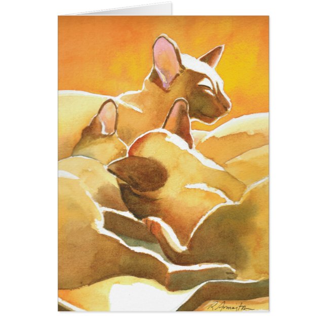 Sunshine Siamese Cats (Devant)