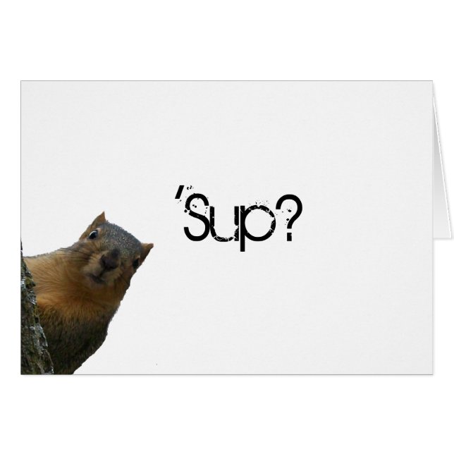 "Sup ?" Écureuil derrière l'arbre (Devant horizontal)