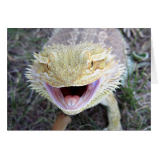 Super Happy Bearé Dragon