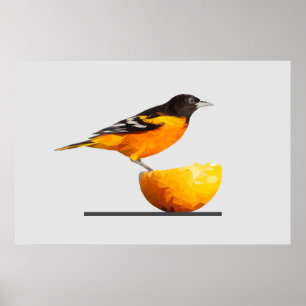 Superbe affiche minimaliste d'Oiseaux Orioles