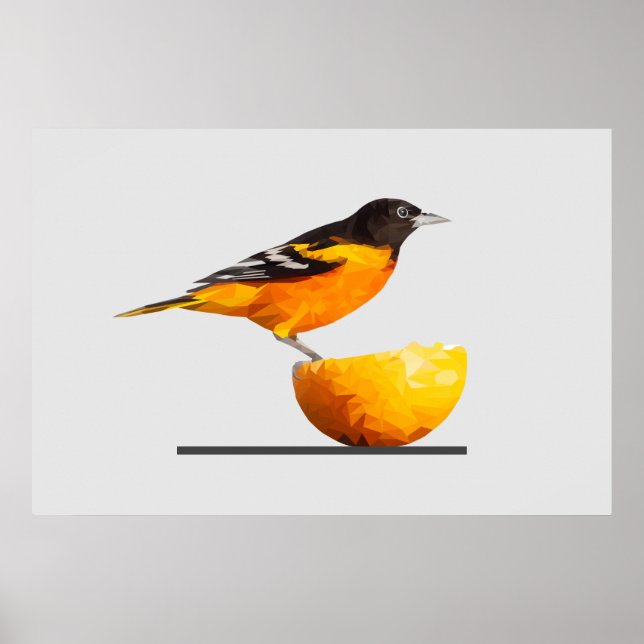 Superbe affiche minimaliste d'Oiseaux Orioles (Devant)
