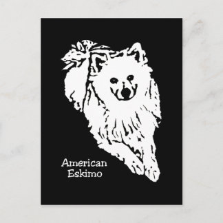 Superbe carte postale américaine Eskimo noir/blanc