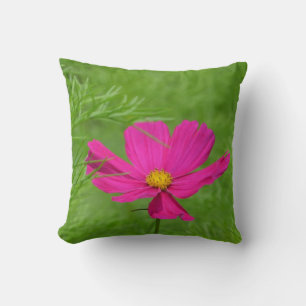 Superbe Coussin Cosmos