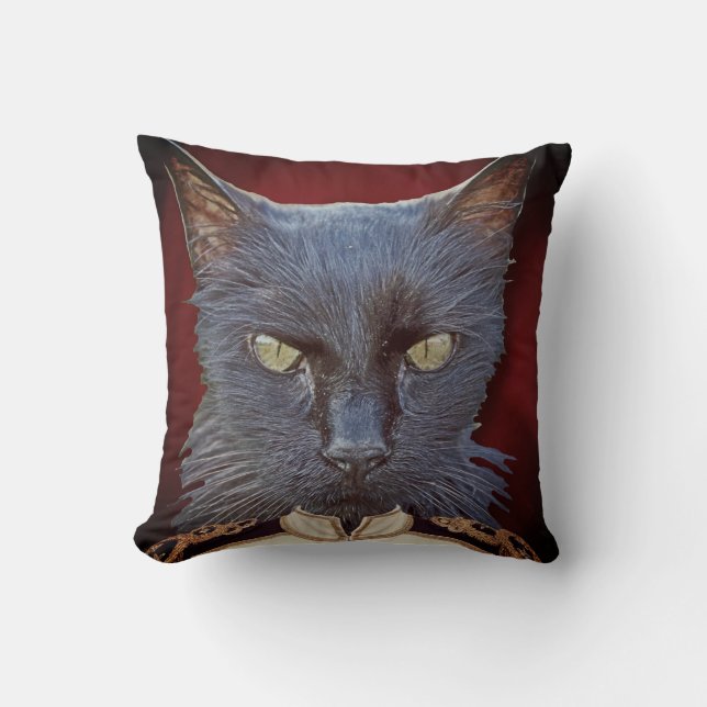 Superbe Coussin Général du Chat ! (Recto)