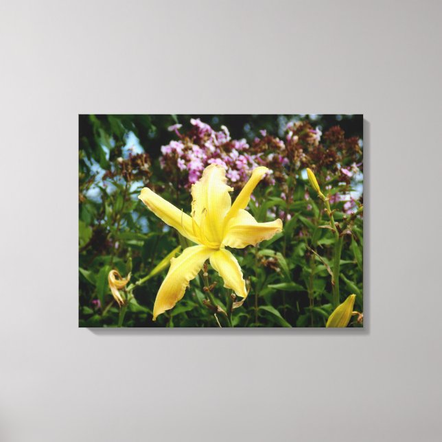 Superbe déco de murs de jardin (Recto)