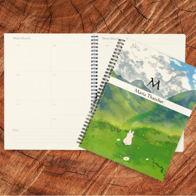 Superbe lapin en vue montagne (Créateur téléchargé)