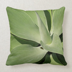 Superbe oreiller succulent Plante en coton