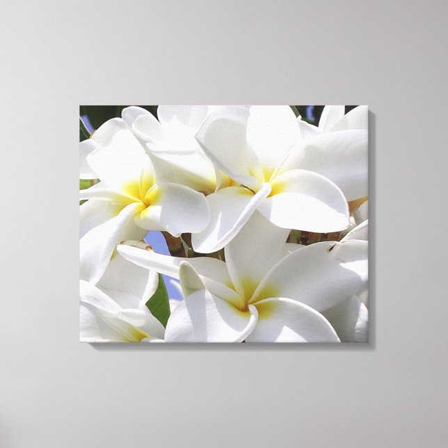 Superbe Plumeria Toile Enveloppée (Recto)