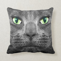 Superbe-vrai coussin gris de chat de George