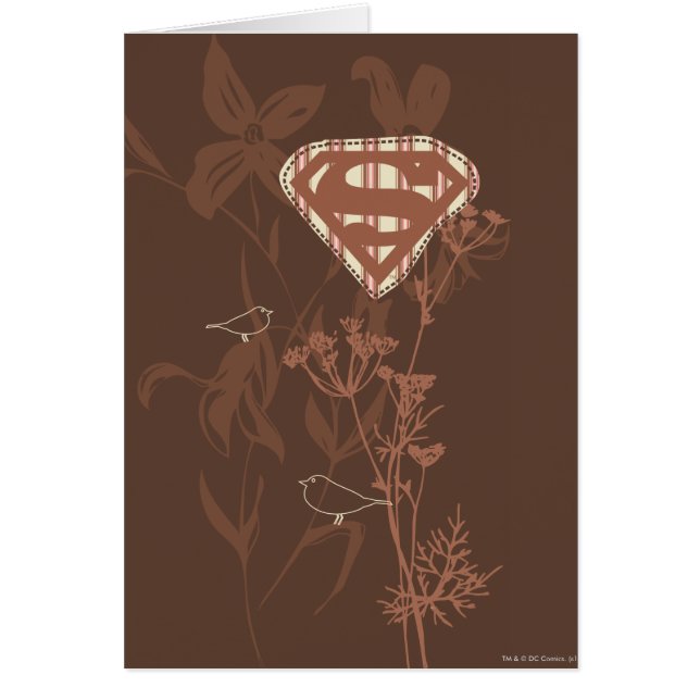Supergirl Brown Bird (Devant)