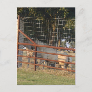 Sur la carte postale de la plage