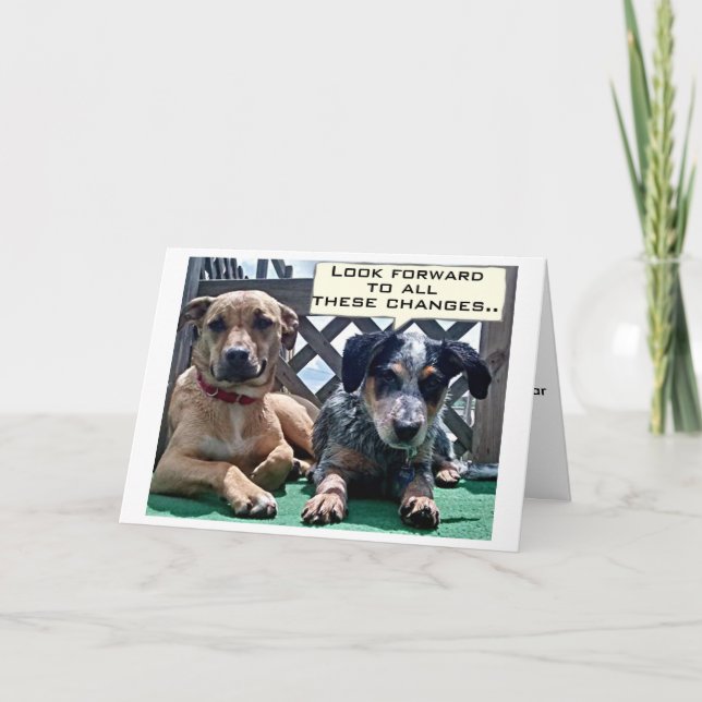 SUR LA COLLINE / CE QUE VOUS POUVEZ ATTENDRE CARTE (Devant)