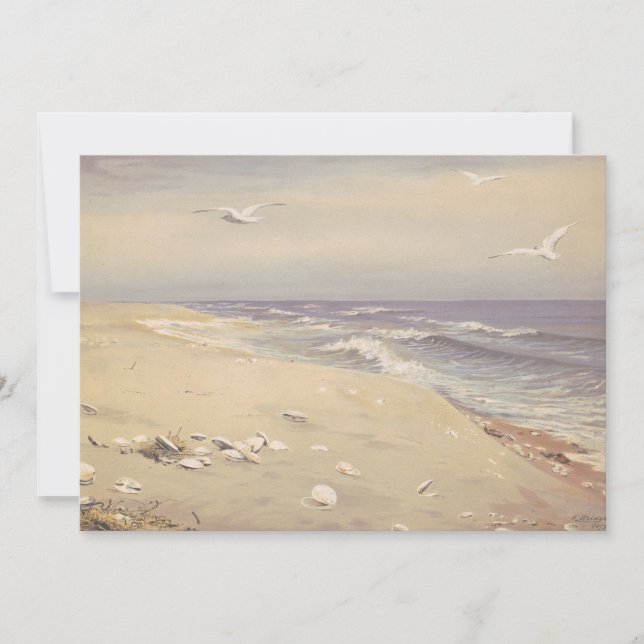 Sur la plage | Ponts Fidelia (Devant)