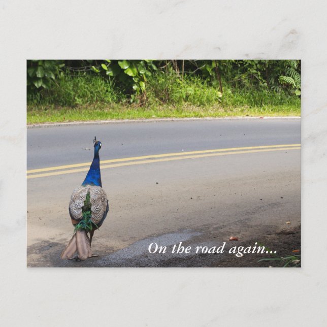 Sur la route de nouveau - Carte postale Maui Peaco (Devant)