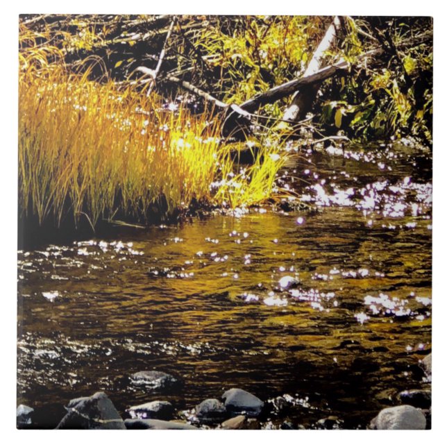 Sur le carreau de Golden Water Creek (Devant)
