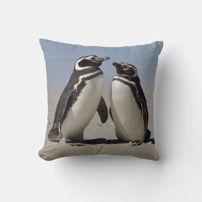 Sur le coussin de plage (Recto)
