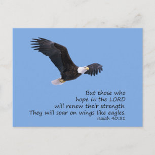 Sur les ailes comme Eagles Carte postale