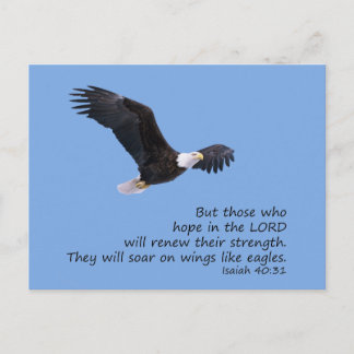 Sur les ailes comme Eagles Carte postale