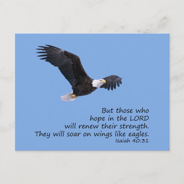 Sur les ailes comme Eagles Carte postale (Devant)