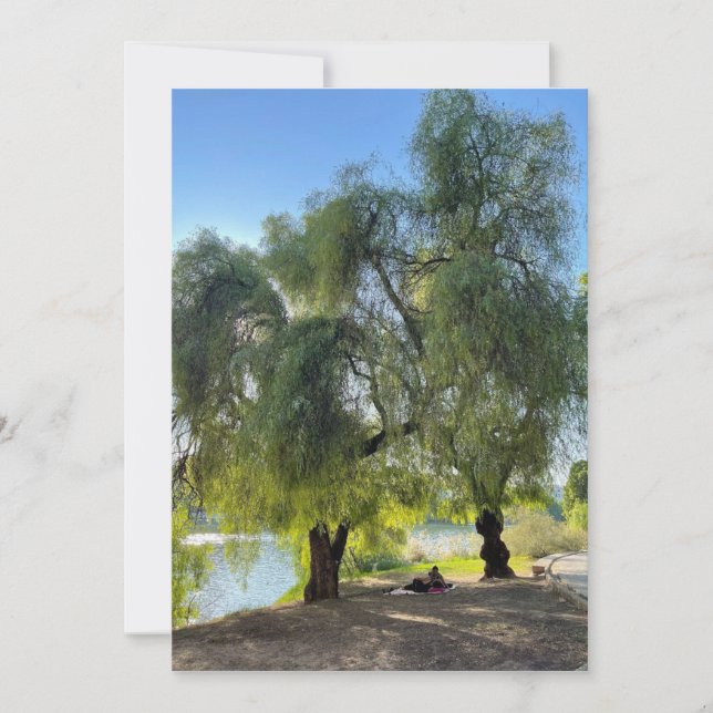 Sur les rives du Guadalquivir (Devant)