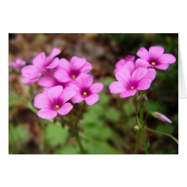 Sur ma carte Porte (Devant horizontal)