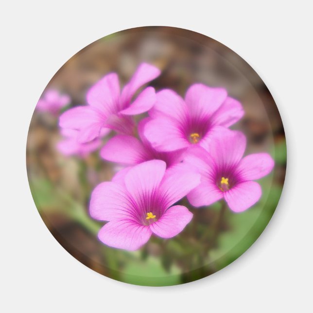 Sur mon aimant de porte (Devant)