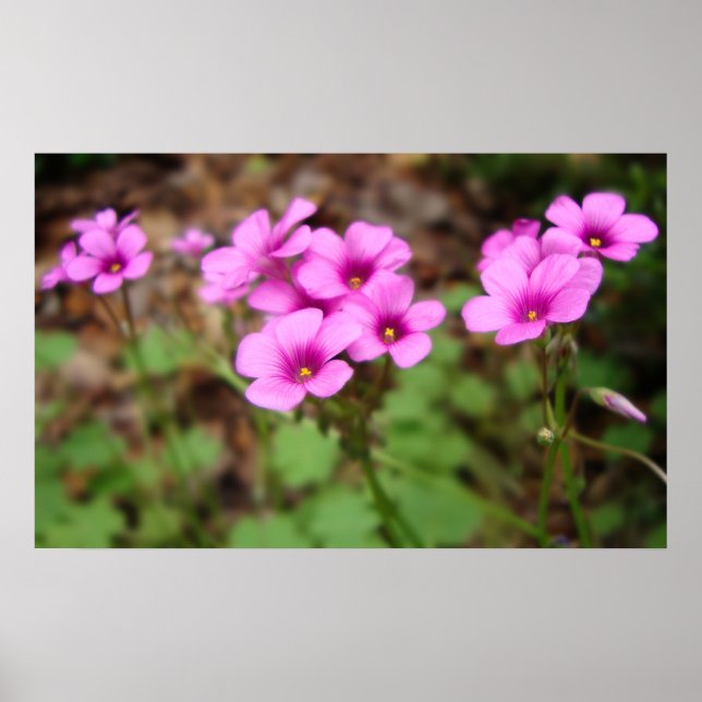 Sur mon impression à la porte (Devant)