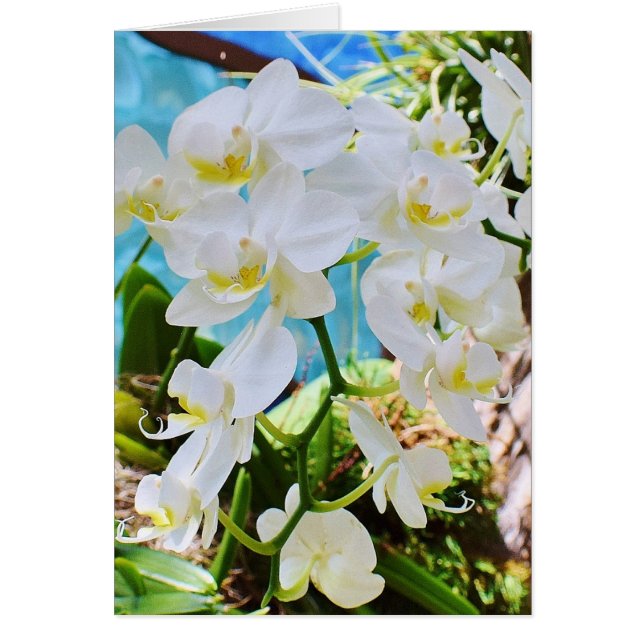 Sur votre voyage ensemble Carte Mariage (Devant)