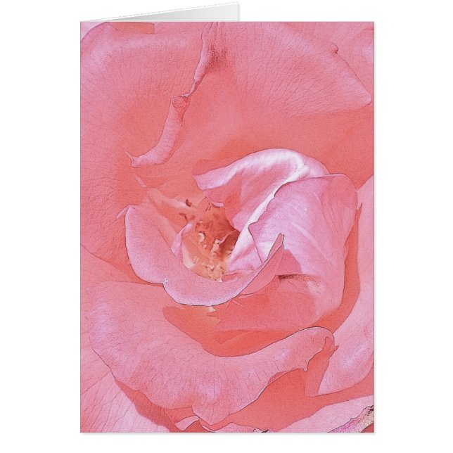 Sur votre voyage ensemble - Rose rose (Devant)