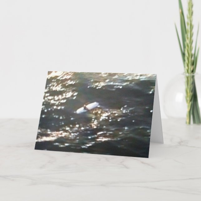 "SURFER LA MER" TOUTE CARTE D'OCCASION (Devant)