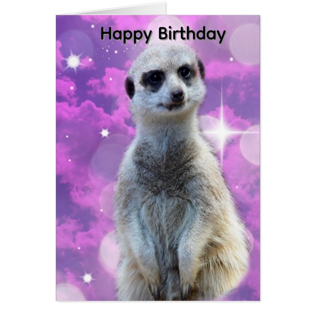 Suricate avec éclat, carte d'anniversaire (Devant)