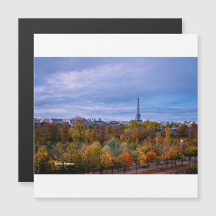 Surplombant le Jardin des Tuileries--Magnet