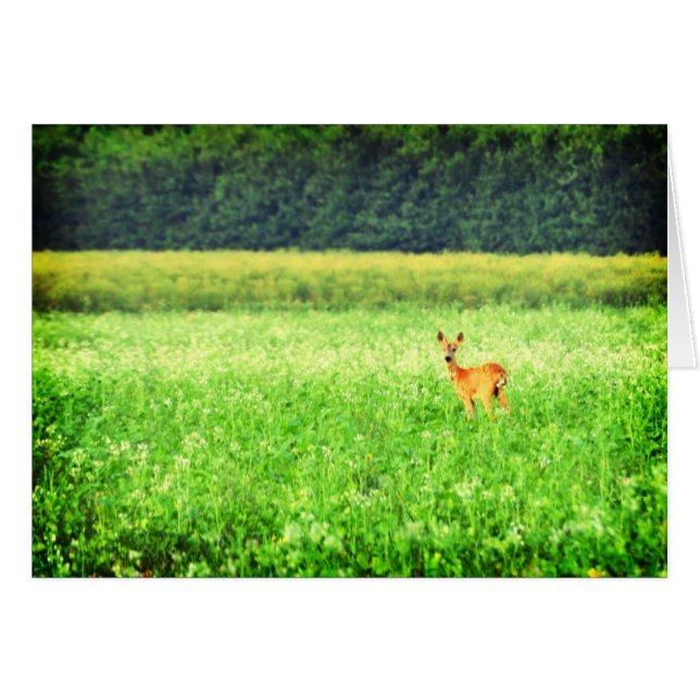 Surpris (Devant horizontal)