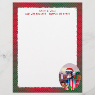 Surprise de Noël Rottweiler