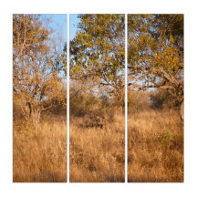 Surreal Savannah – Wildlife Wall Art