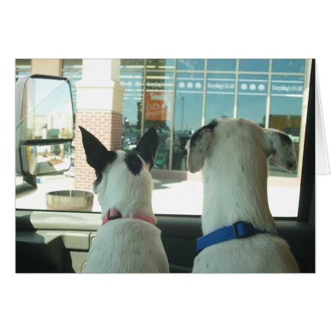 SURVEILLANCE (Devant horizontal)