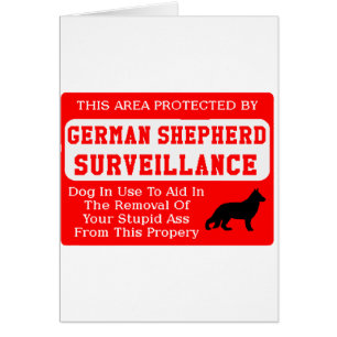surveillance des chiens bergers allemands