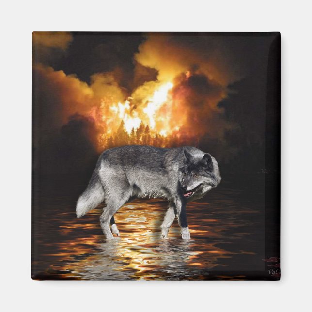 "Survivant" Gray Wolf Magnet (Devant)