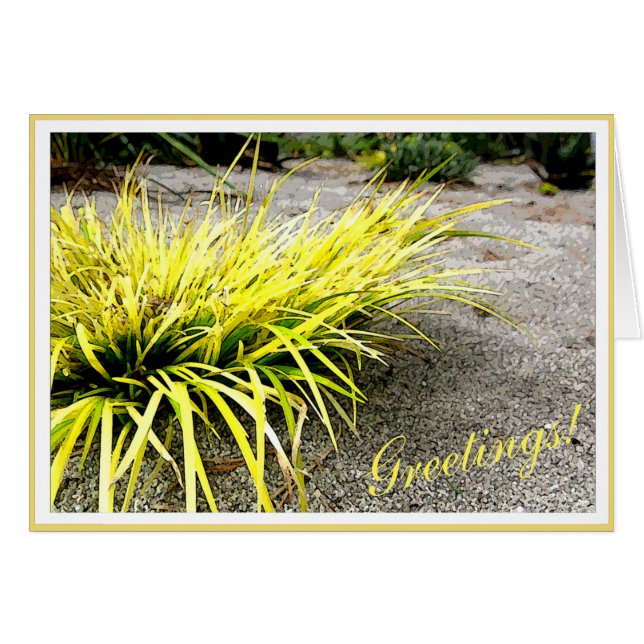 Survivor Yellow Desert Plante personnalisable Fram (Devant horizontal)