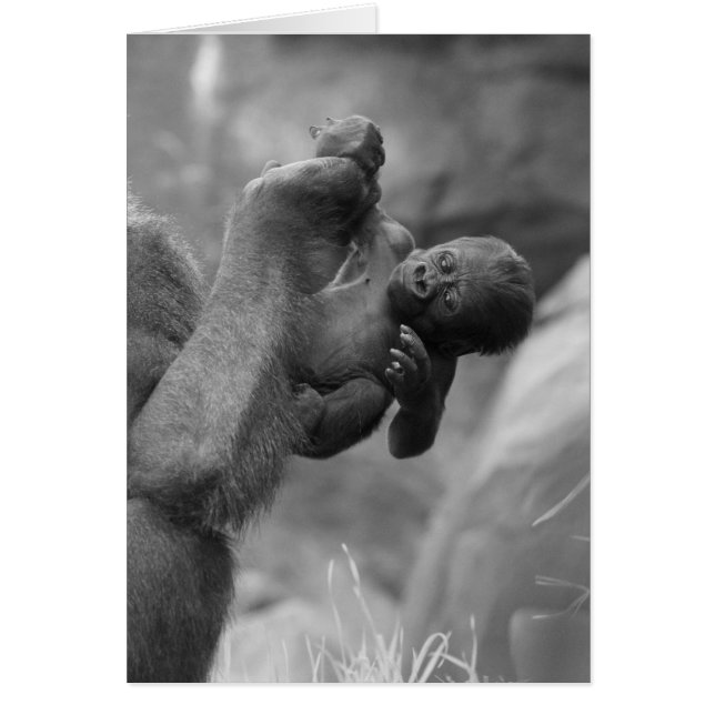 Suspendre Gorilla Baby (Devant)
