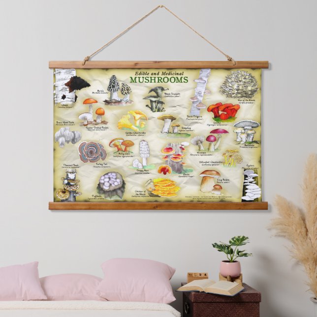 Suspendue Tapisserie Champignons (comestibles et médicinaux) (Chambre à coucher)