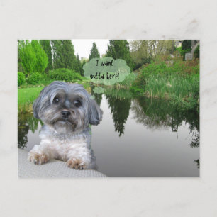 Sutcliffe Park, Vancouver, BC Carte postale