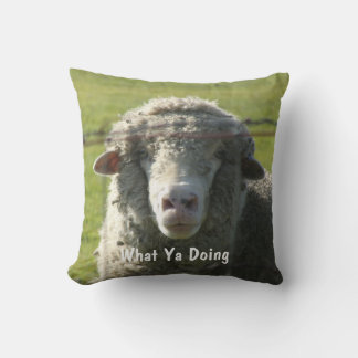 Sutter Buttes Mountain Range curieux coussin de mo