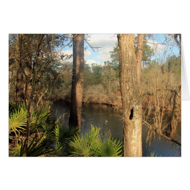 Suwanee River, Big Shoals State Park, Floride (Devant horizontal)