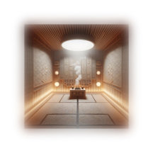 The Language of Shapes