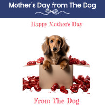 Mother's Day From The Dog