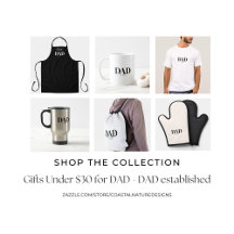 Gifts Under $30 for Dad - Dad Established