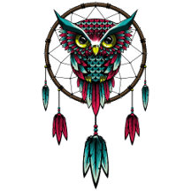 Owl Dreamcatcher