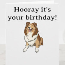 Sheltie Greeting Cards 