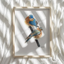 Bird Art Collection Prints And Home Decor